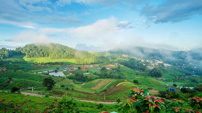 How many days to spend in Chiang Mai and Phuket Thailand