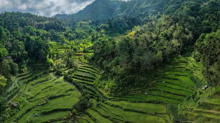 Is Bali right for your travel style on a first visit?