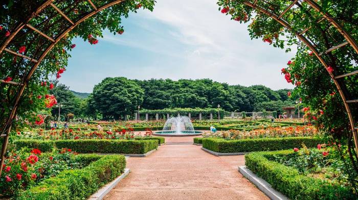 Is Incheon right for your travel style?