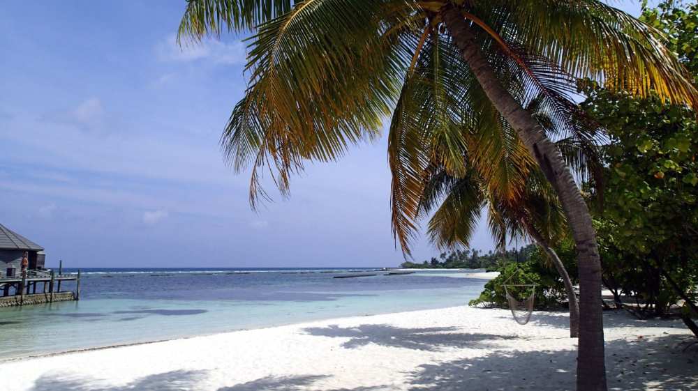 Kuramathi or Kuredu: which island suits your travel style?