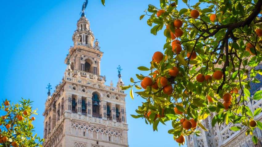 Summer pacing in Seville and Malaga: when the day actually works