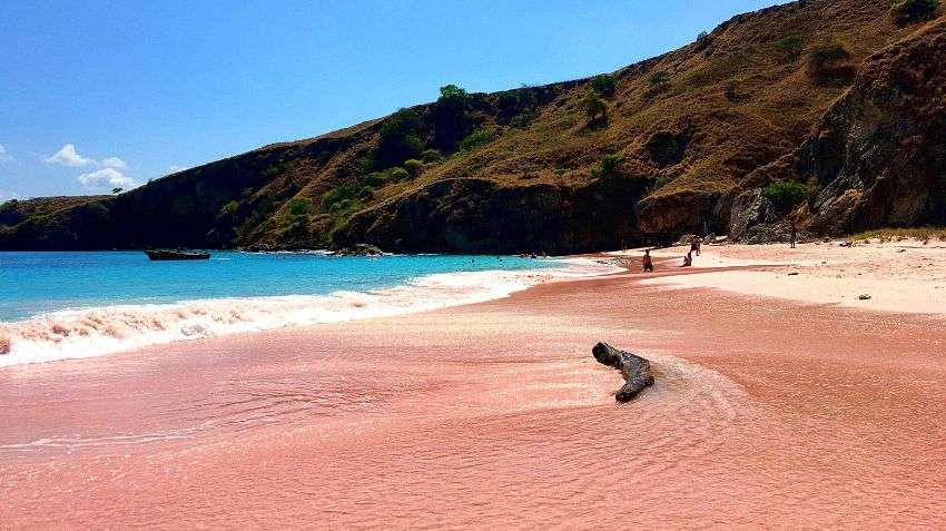 Komodo or Canggu: which suits your travel style?
