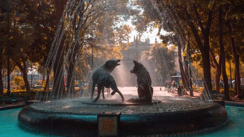 Should you choose Mexico City or Guadalajara for your Mexico trip?