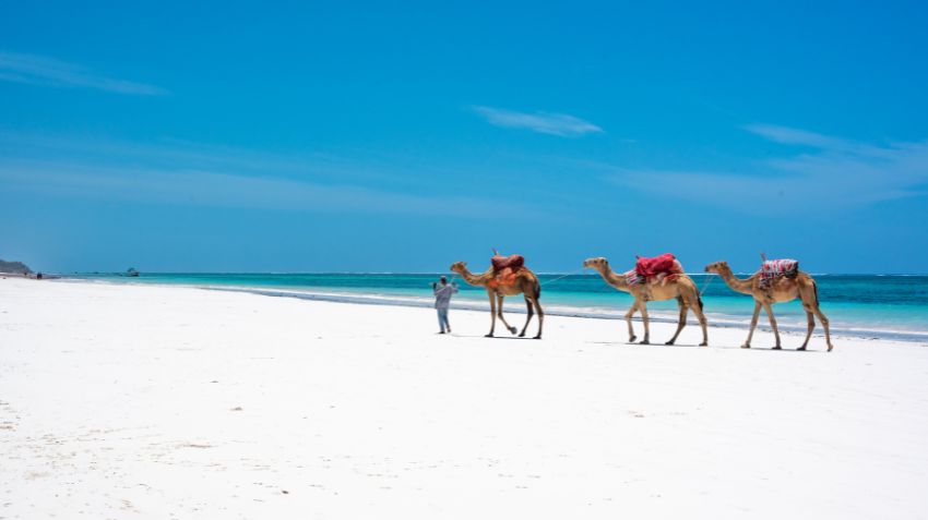 Zanzibar or Mombasa for your first East Africa beach trip